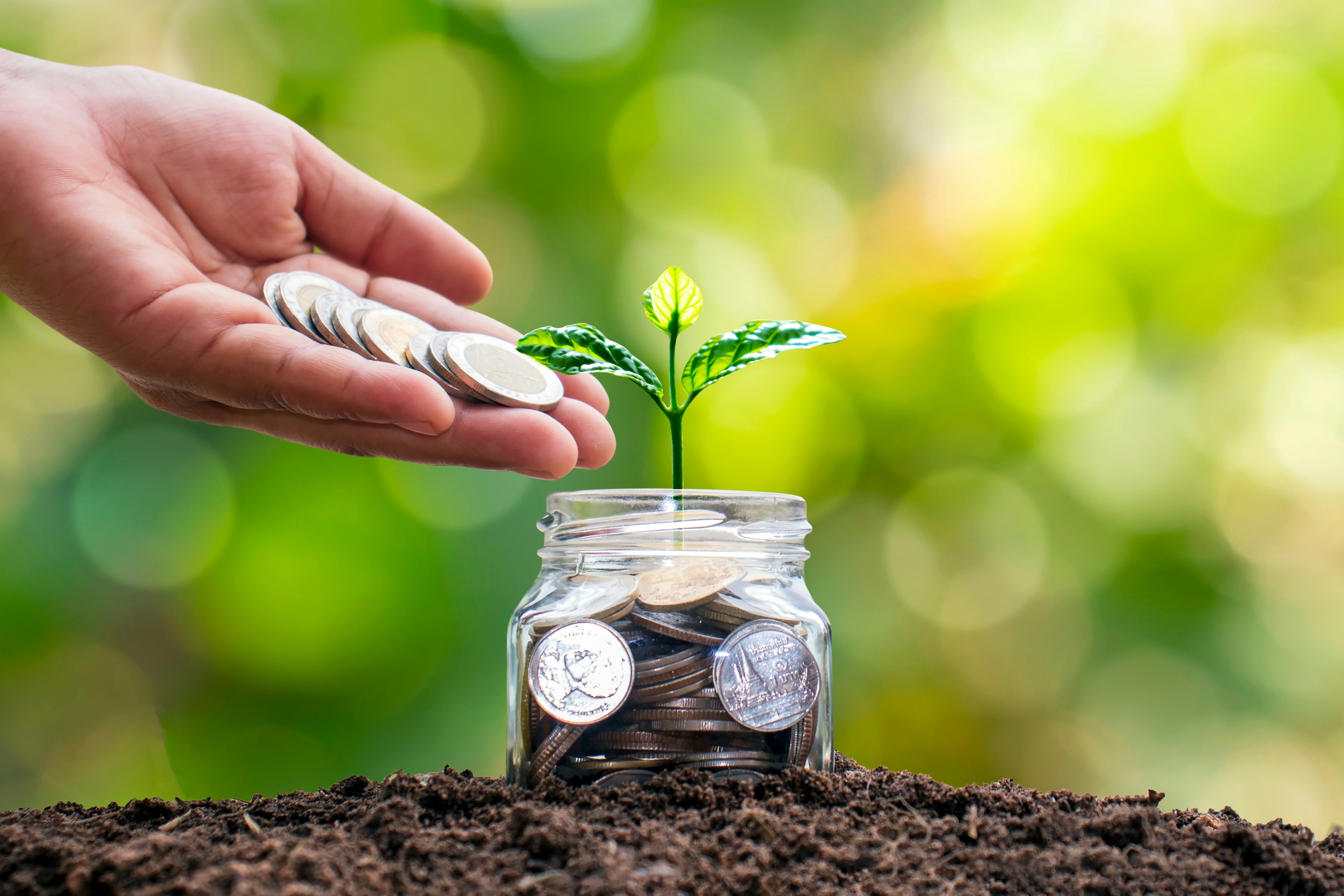 Offers | CU Financial Management